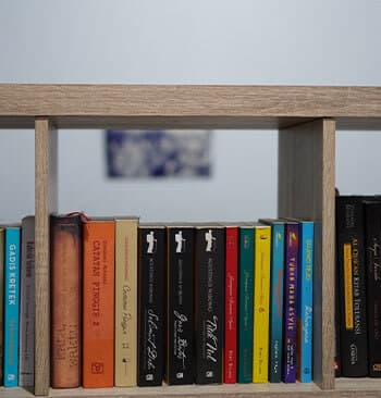 Reading lifestyle